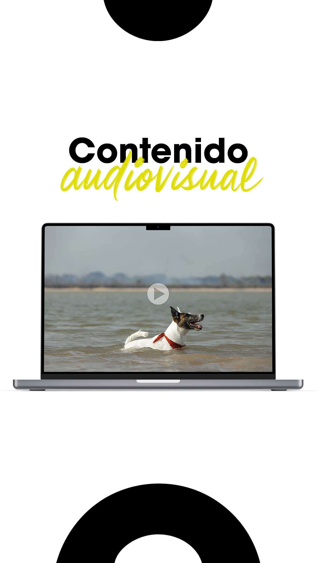 Contenido vertical